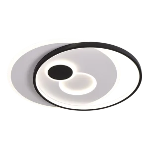 DLX-ISSE-70-BW: imagen 2