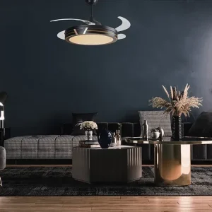 DLX-VOLD-75-V: imagen 2