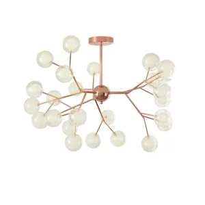 DLX-TARA-27-RG: imagen 3