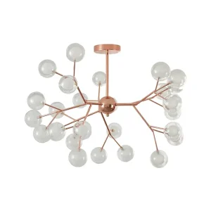 DLX-TARA-27-RG: imagen 2