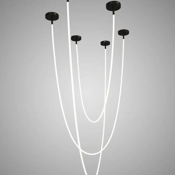 DLM-ROPE-N