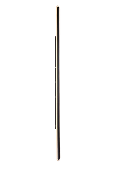 DLX-IENA