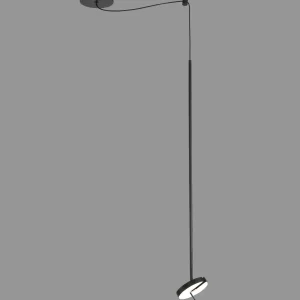 DLM-LIMT-1-BK