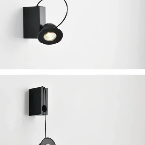 DLM-ANTE-1: imagen 6