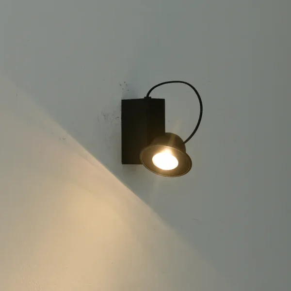DLM-ANTE-1
