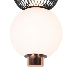 DCL-TP699-1: imagen 2