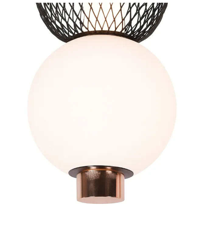 DCL-TP699-1: imagen 2