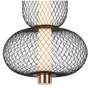 DCL-TP701-1: imagen 2