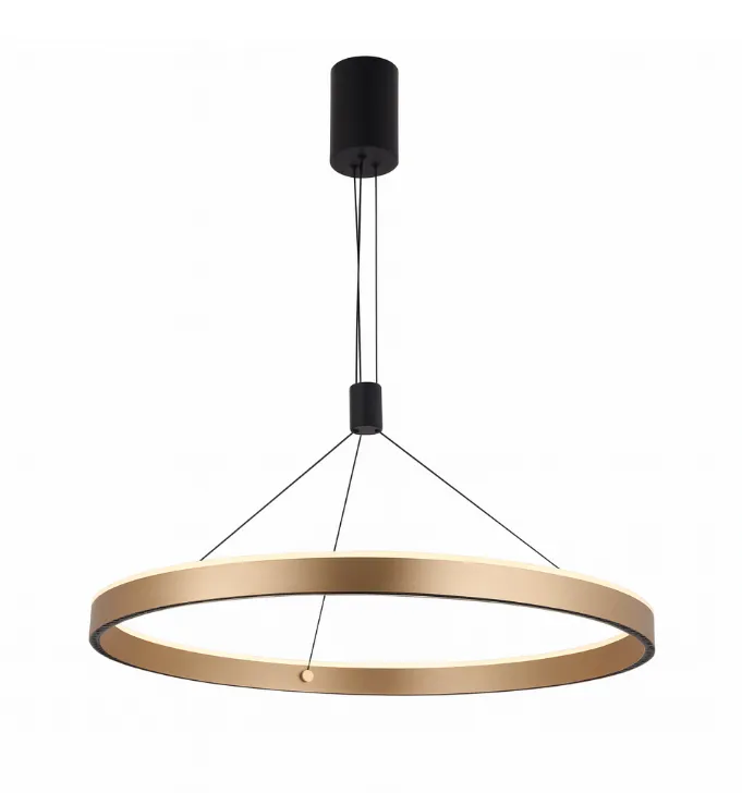 DCL-TP702-1: imagen 4