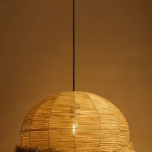 DCL-TP745-1: imagen 3