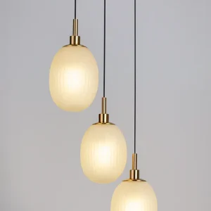 DCL-ZM113-3: imagen 3