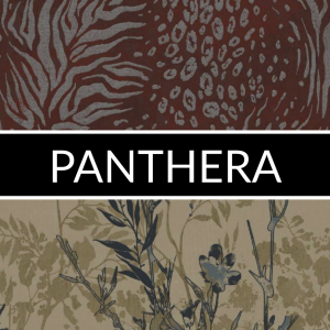 PANTHERA: imagen 1