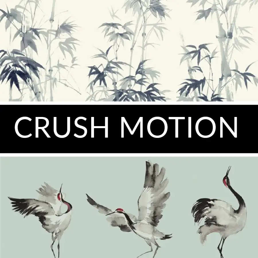 Crush Motion: imagen 1