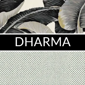 DHARMA: imagen 1