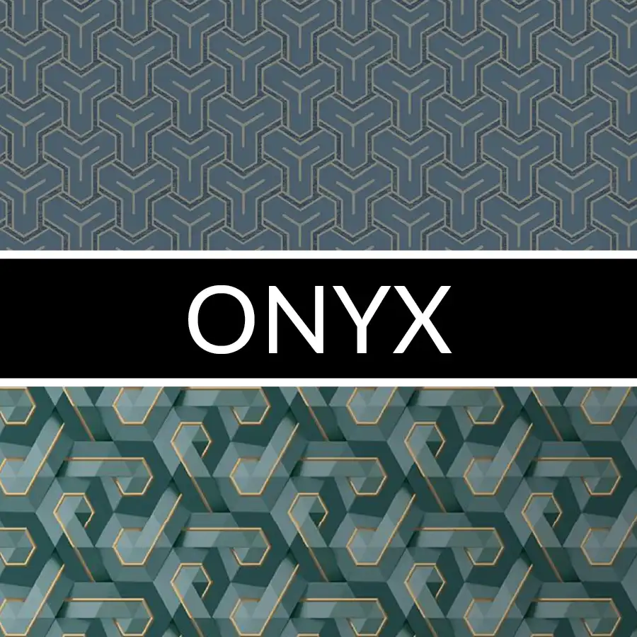 ONYX: imagen 1
