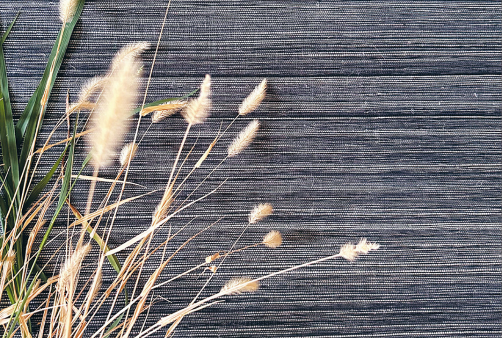 NATURAL LUX