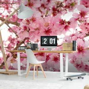 PHOTO MURAIS: imagen 3