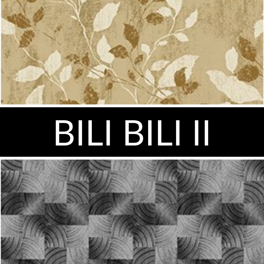 Bili Bili II: imagen 1