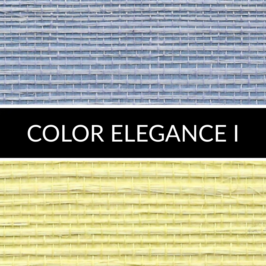 COLOR ELEGANCE I: imagen 1