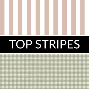 TOP STRIPES: imagen 1