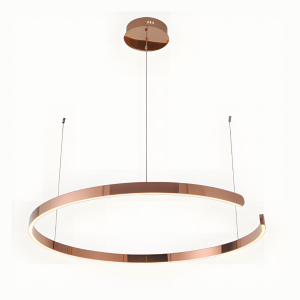 DLM-OLTA-1: imagen 1