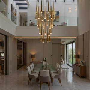 DMR-10031-48-GD: imagen 2