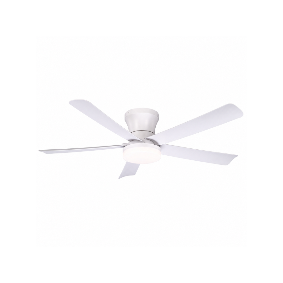DCL-V033-V-WH: imagen 1