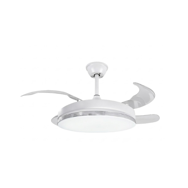 DCL-V053-V-WH
