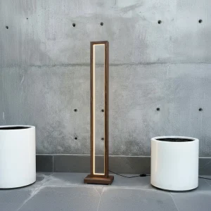 DDM-EMPI-WD: imagen 3