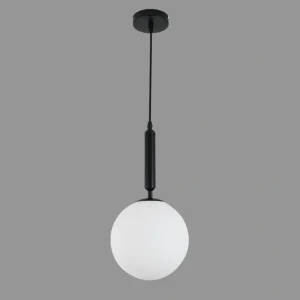 DLM-ENUS-1: imagen 2