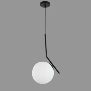 DLM-ENUS-1-L: imagen 2