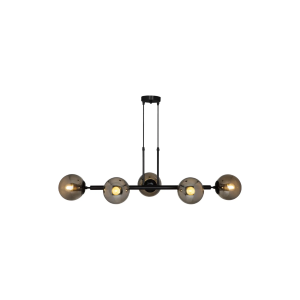 DCX-C2080-5/NE: imagen 1