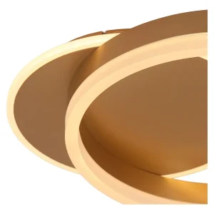DCL-0113-2-GD: imagen 3