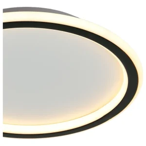 DCL-011-1: imagen 4