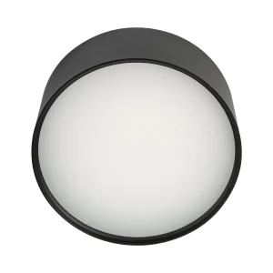 DCX-DLP098LED-F/NE: imagen 3